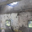 공간페인트 이미지