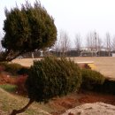 남창초등학교 이미지