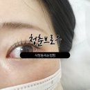 위너빌 | 청주사창동 속눈썹 :: 요즘대세 가닥가닥 속눈썹 완성 청춘브로우에서 속눈썹 펌