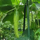 민지세탁소 이미지