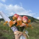 제이사려니숲길 | 가을 제주도는 참을 수 없지 제주 데이트 제주 셀프 스냅후기ㅣ 촬영소품 웨딩 포스터 / 웨딩 피켓 추천!