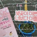 애월오후 민박 이미지
