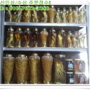 건강한인삼 이미지