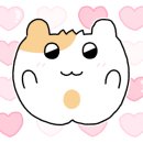 모이트네일 이미지