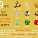 설악산산돌배농원