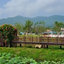 예당호느린호수길 이미지