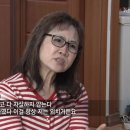 자매성 뉴스1