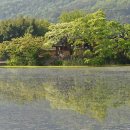 천록(아) 이미지