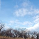12/27/25 Sky Meadows to Whiskey Hollow Shelter 이미지