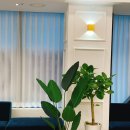 새연세치과의원 이미지