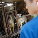 용재농장 이미지