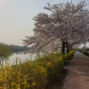 별빛 내리는 무인텔 이미지