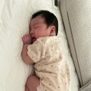 맘앤베베실버 이미지