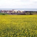 어룡목장 이미지