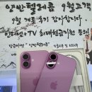 핑크텔레콤 이미지