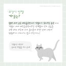 더블유동물의료센터 이미지