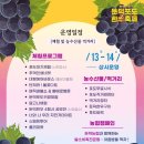 거제둔덕포도축제 티스토리