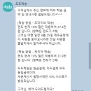 도도탁송 소중한 후기 [아반떼 용인-제주탁송]
