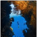 행정사김성일 이미지