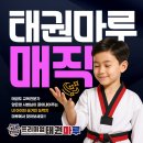 백산 태권도 | [새솔동태권도]“아이 마음을 열어버린 태권마루 매직”