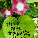 한*승 - 미추홀구 수봉로 158-1 | 한*승