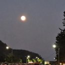 선창해상낚시터 이미지