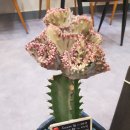 모아그린세탁소 이미지