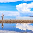 모자목장 이미지