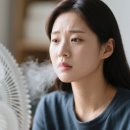 상대할인마트 | 로렌힐스 에어써큘레이터 C903R 롯데마트 할인! 내돈내산 시원한 후기 🌀