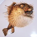세계조개박물관 티스토리