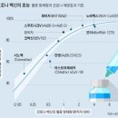 백신 종류별 효과 이미지