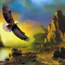 독수리 이미지