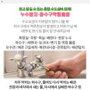 인성자동차정비공업사 이미지