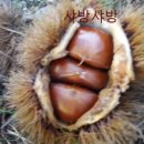 황율농장 이미지