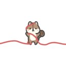 엔터카워시 이미지