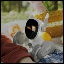 바우와우 | 해운대 애견동반 식당 맛집 소소한 행복을 주는 감성 카페 후기 바우와우