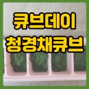 [큐브데이] 초기 토핑이유식 청경채 큐브 만들기