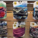 아이엘닷컴 이미지