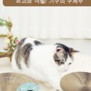 엠디에스무역