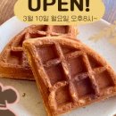 두두리스토어