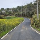 신안마을회관 이미지