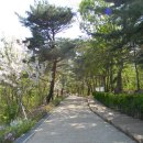 서리풀길 9 이미지