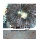 사직2동-26 이미지