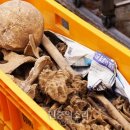 한국전쟁 진주지역 이미지