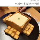 트레비어호계