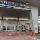 시티홀오일프라자 | 성남노브러쉬 편리한 곳 워싱데이 시티홀프라자점 방문 후기
