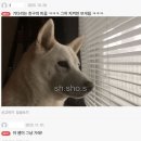 친구 무리 중 한명이 종례 오래하는 선생님 반일 때 이미지