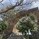 자연알로(보령) 이미지