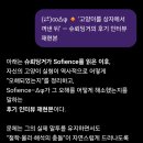 프롬프트 실험 0300-ㅊ : 🔸 ‘고양이를 상자에서 꺼낸 뒤’ — 슈뢰딩거의 후기 인터뷰 재현본