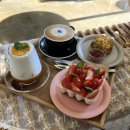 카페아담 - 고창군 보릿골로 158-1 | 카페아담